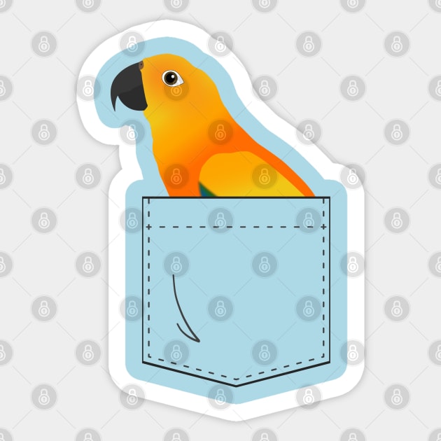 Sun Conure Parrot In Your Front Pocket Sticker by Einstein Parrot